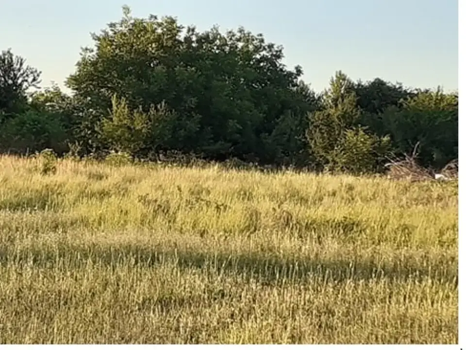 teren Bucuresti 500 mp Giurgiului langa Dedeman img 10